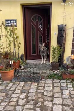 Foto - Haus zu verkaufen in Nordwestmecklenburg