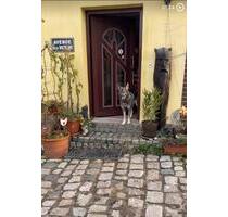 Haus zu verkaufen in Nordwestmecklenburg - Berlin Mitte