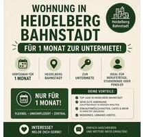 Stelle Wohnung für ein Monat zur Verfügung, inkl. Stellplatz - Heidelberg Bahnstadt