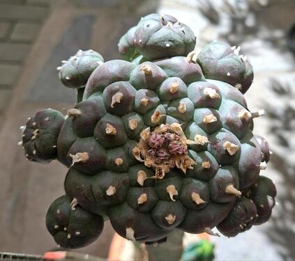 Foto - andere in Wiesentheid
