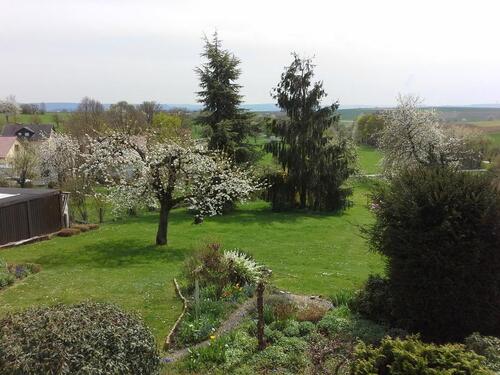 Foto - Einfamilienhaus in Gundelsheim zum Kaufen