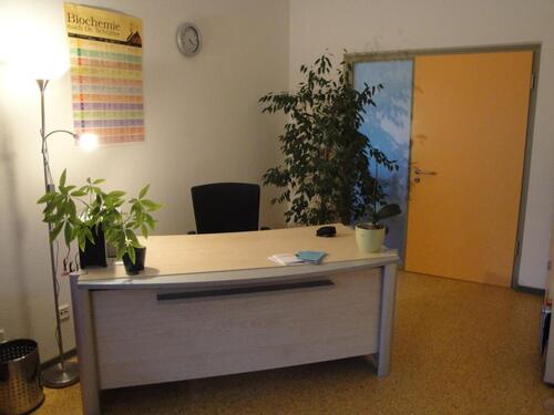 Foto - Schöner Praxisraum zur Mitbenutzung in Bonn Poppelsdorf