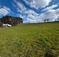 Panoramagrundstück voll erschlossen, teilbar - Waxweiler