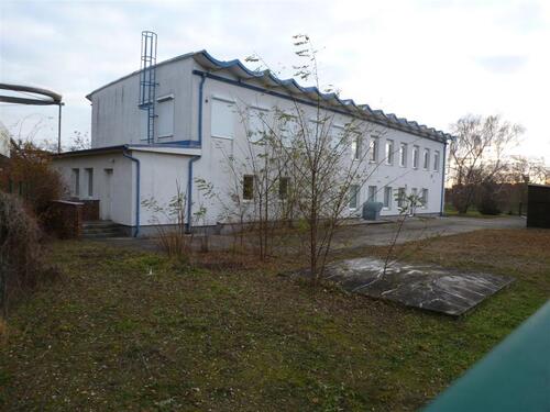 Foto - andere in Bitterfeld-Wolfen zum Kaufen