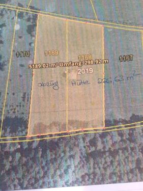 Foto - Wiese in Altshausen zu verpachten