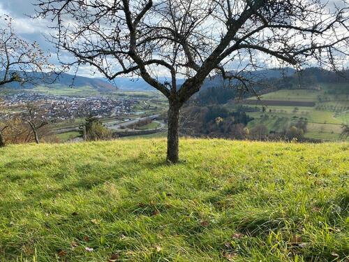 Foto - Grundst&uuml;ck zur Miete in Biberach
