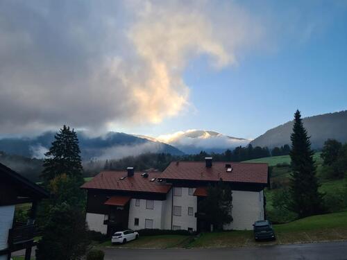 Foto - 2,5 Zimmer Galeriewohnung im wunderschönen Steibis