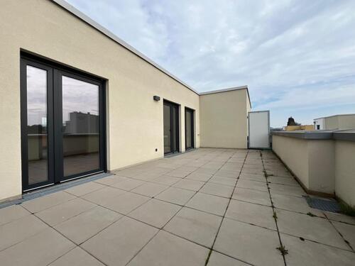 Foto - Entspannt wohnen mit Dachterrasse in Neckarnähe