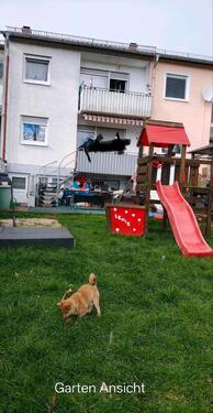 Foto - 5 Zimmer Einfamilienhaus zum Kaufen in Mosbach