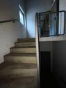 Foto - andere in Krefeld
