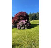 3,5 Zimmerwohnung Baiersbronn - 680,00&nbsp;EUR Kaltmiete, ca.&nbsp; 85,00&nbsp;m&sup2; in Baiersbronn (PLZ: 72270)