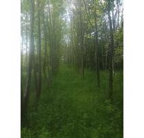 Kleiner Bauernhof zu verkaufen - 400.000,00 EUR Kaufpreis, in Berlin (PLZ: 13353) Mitte