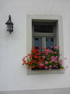 Foto - 1 Zimmer Etagenwohnung in Naila