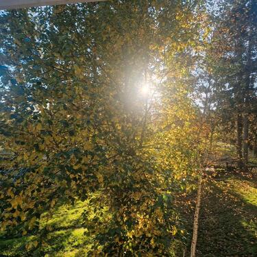 Foto - Etagenwohnung zur Miete in Hagen im Bremischen