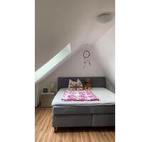 WG Maisonett Wohnung in Altstadt mit Wunschmöbel vollmöbeliert - Würzburg