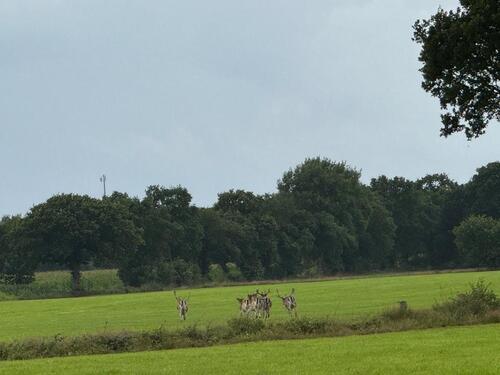 Foto - andere zur Miete in Ihlow
