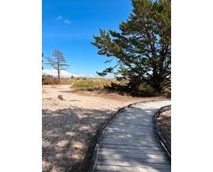 Ferienhaus * Insel Öland * Ostsee * Schweden * Urlaub - Oerlinghausen
