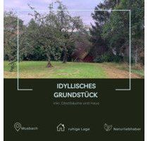 Idyllisches Grundstück mit Obstbäume und Haus in Musbach - Freudenstadt