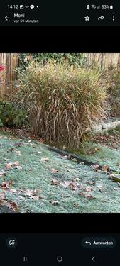 Foto - Einfamilienhaus in Hattingen zum Kaufen