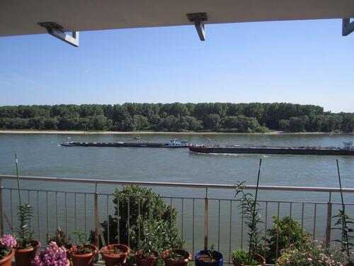 Foto - Schiffe zählen. Den ganzen Tag!