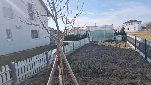 Foto - 4 Zimmer Einfamilienhaus zum Kaufen in Schillingsfürst