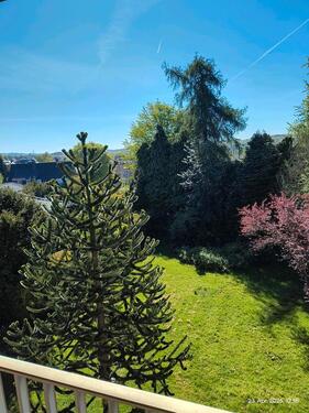 Foto - 7 Zimmer Etagenwohnung zum Kaufen in Sprockhövel