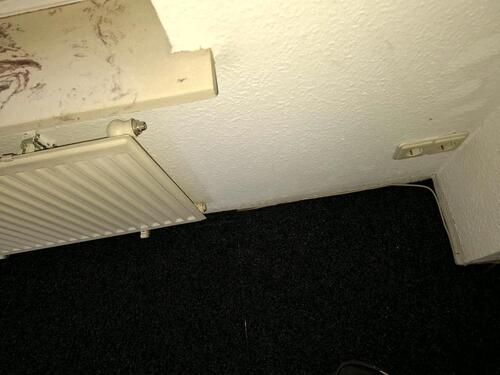 Foto - 2 Zimmer Etagenwohnung zur Miete in Leer (Ostfriesland)