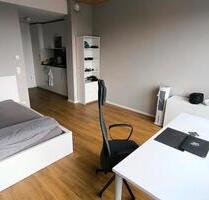 Sillvolles 1-Zimmer-Appartment in 4. OG mit Dachterrassenzugang - Mannheim Neckarstadt-Ost
