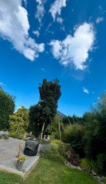 Foto - Einfamilienhaus in Niederzier zum Kaufen