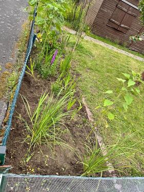 Foto - Grundstück zur Miete in Braunschweig