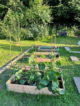 Foto - Grundstück in Braunschweig