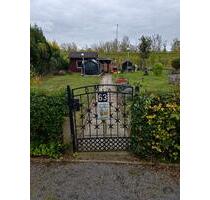 Kleingarten Parzelle 38239 Salzgitter Beddingen