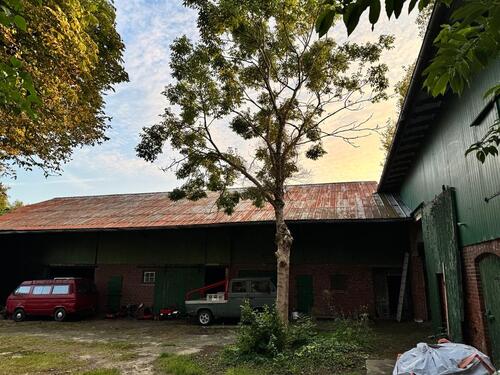 Foto - Einfamilienhaus zum Kaufen in Hemmoor