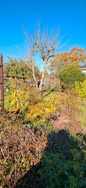 Foto - Grundst&uuml;ck in Papendorf