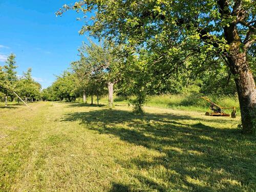 Foto - Grundst&uuml;ck zur Miete in Gemmrigheim