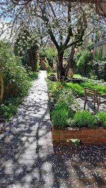 Foto - andere in Frechen zur Miete