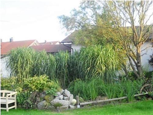 Foto - 6 Zimmer Einfamilienhaus in Straßkirchen