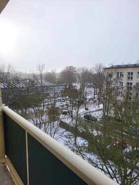 Foto - Bruno - Baum - Ring 36, 4. Obergeschoss links