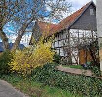 Holle-Heersum: Wohnhaus (3 WE), Scheune und großem Grundstück