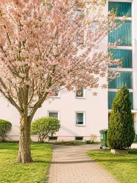 Foto - Gepflegte 4,5 Zimmer Eigentumswohnung