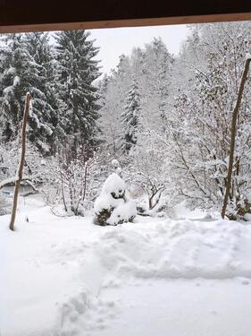 Foto - Wintertraum * Alleinlage * EFH mit viel Grund * Privatverkauf