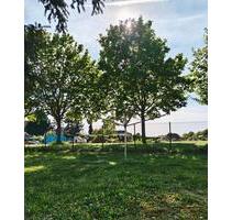 3-Zimmer-Dachgeschosswohnung in Daberstedt - Erfurt