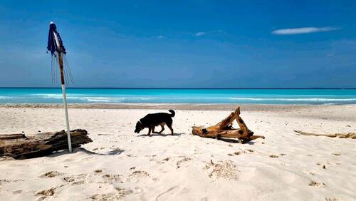 Foto - Urlaub am Meer in Strandwohnung in der Toskana für 2-3 Personen