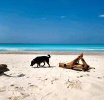 Urlaub am Meer in Strandwohnung in der Toskana für 2-3 Personen - Duisburg Essenberg