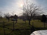 Foto - Garten 1000qm umzäunt Obstbäume