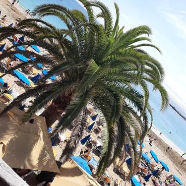 Foto - andere in Meßkirch