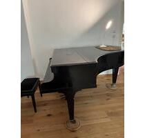 House furnished sunny Garden 3 Rooms Tempelhof Piano cosy - Berlin Tempelhof-Schöneberg