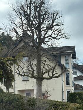 Foto - Wohnung in Kelberg - 550,00&nbsp;EUR Kaltmiete, ca.&nbsp; 80,00&nbsp;m&sup2;