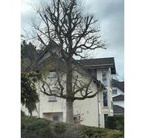 Wohnung in Kelberg - 550,00&nbsp;EUR Kaltmiete, ca.&nbsp; 80,00&nbsp;m&sup2; in Kelberg (PLZ: 53539)