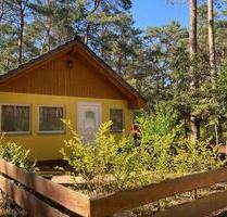 Erholung garantiert! Rückzugsort im Wald am Schervenzsee!!! - Eisenhüttenstadt